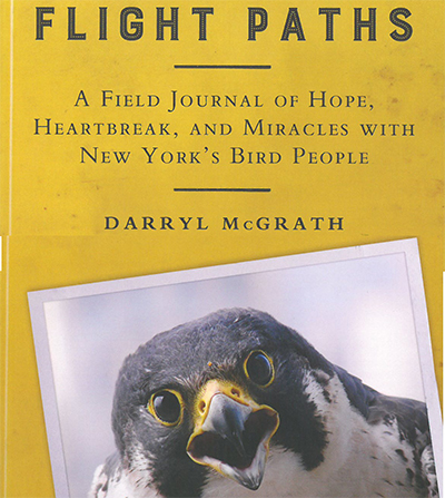 New Book Features Birds in the Adirondacks